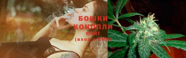 дурь Медногорск