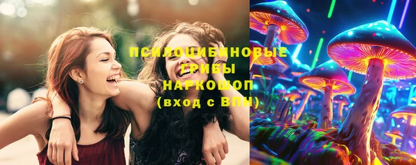 СК Мегион