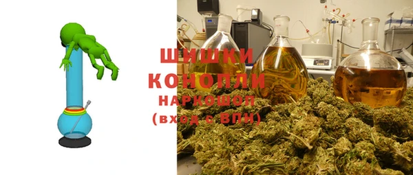 тгк Медвежьегорск