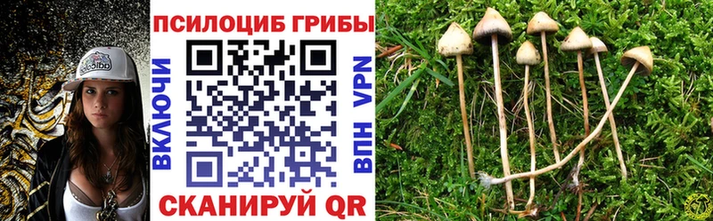 Псилоцибиновые грибы мухоморы Купить закладки Брюховецкая