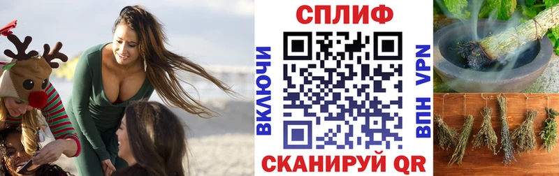 Купить где Брюховецкая Канабис сатива